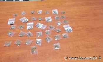 Isola Capo Rizzuto, vede i carabinieri e butta una busta con 37 dosi di marijuana: arrestato 23enne - LaC news24