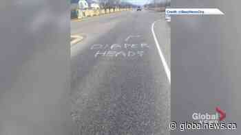 Calgary police investigating racist graffiti near Sikh gurdwara in city's southwest | Watch News Videos Online - Globalnews.ca