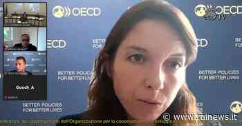 Ocse, a Italia serve riforma cuneo fiscale. Troppa spesa previdenziale - Rai News