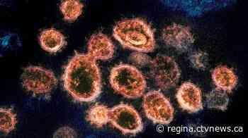 Sask. ordering 112K doses of COVID-19 vaccine for kids 5-11