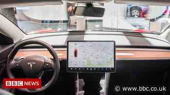 Tesla withdraws self-driving beta over software issues