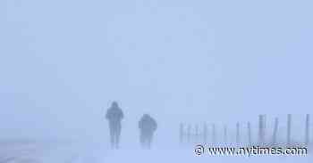 Storms Crash Through These Two Novels, Leaving Humans in Their Wake