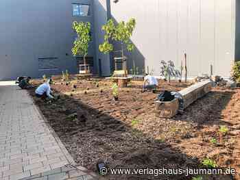 Steinen - Vorfreude auf Obst ist groß - www.verlagshaus-jaumann.de