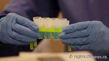 COVID-19 cases, testing numbers continue to trend downwards in Sask.