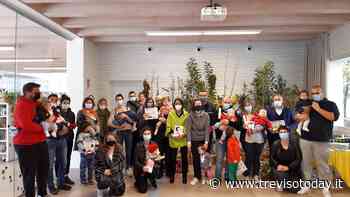 Nuovi nati a Silea: il Comune dona alle famiglie alberi e libri - TrevisoToday