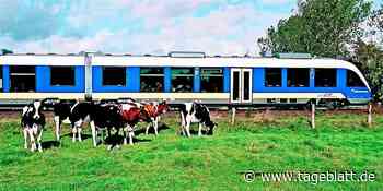 Bahnstrecke Stade - Bremen: Befürworter sehen gute Chancen auf Reaktivierung - Fredenbeck - Tageblatt-online