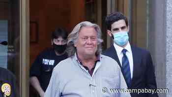 Trump, Steve Bannon, and executive privilege over Jan. 6: What does it all mean? - Tampa Bay Times