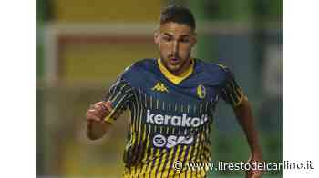 Le nuove gerarchie di Tesser Così il Modena si è rilanciato - il Resto del Carlino