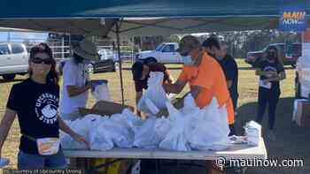 Upcountry Strong Distributes 20 Tons of Food, Offers a Shining Moment in a Dark Time - Maui Now