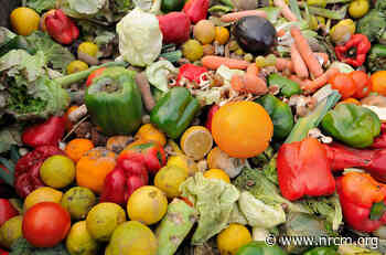 Reducing Food Waste in Maine - Natural Resources Council of Maine
