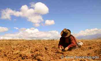 Why we need increased investment in food and agriculture in developing countries and international organizations that support them - Brookings Institution