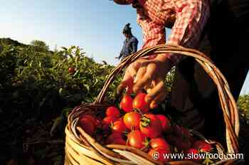EU Parliament Approves the Farm to Fork Strategy - Slow Food Europe - Slow Food International