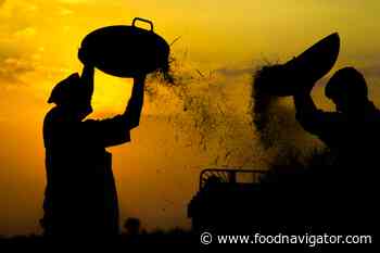 Why human rights must be at the heart of food industry climate action - FoodNavigator.com