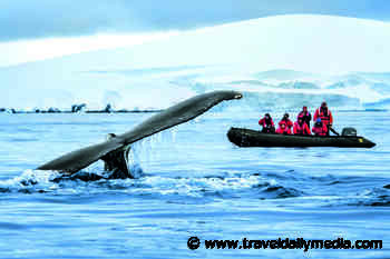 Aurora Expeditions celebrates Antarctica return with special offers to inspire discovery - Travel Daily