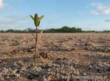 VII Seminario de Problemáticas Ambientales: Suelo y Cambio Climático - buenosaires.gob.ar