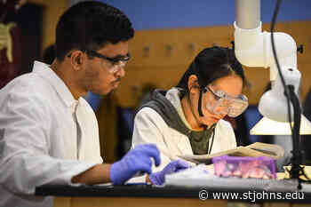 Hearst Foundation Awards Grant to College of Pharmacy and Health Sciences to Support Diversity Recruitment - St John's University News