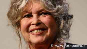 Brigitte Bardot insulte le patron des chasseurs : le tribunal d’Arras juge les poursuites « prescrites » - La Voix du Nord