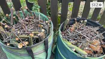 Abfall in Ludwigslust-Parchim: Bürgermeister Dirk Flörke drängt auf Wertstoffhof in Parchim | svz.de - svz – Schweriner Volkszeitung
