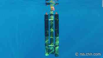 Electric robots are mapping the seafloor, Earth's last frontier