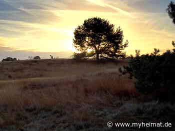 Wenn abends die Heide träumt .... - Haltern am See - myheimat.de
