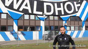 SV Waldhof: Marco Höger exklusiv - „Will meine Karriere in Mannheim beenden“ - mannheim24.de