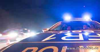 Schlägerei im Hauptbahnhof - Mannheim - DIE RHEINPFALZ - Rheinpfalz.de