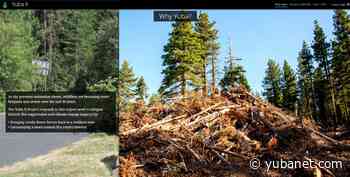 New Forest Resilience Bond will finance $25 million of restoration to reduce wildfire risk on the Tahoe National Forest in California - YubaNet