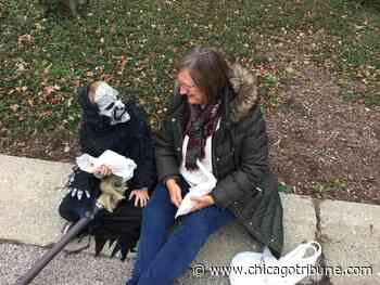 Trick-or-treaters expected to knock on doors in Lake Forest, Lake Bluff this Halloween, but homeowners can post signs to opt-out - Chicago Tribune