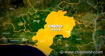 Farmer Hacked To Death In Ondo Forest - Channels Television