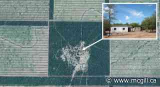 Advancing agriculture threatens the livelihoods of forest-dependent people - McGill Newsroom