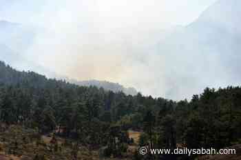 7 Russians arrested over forest fire in Turkey’s Antalya | Daily Sabah - Daily Sabah