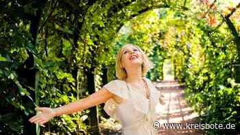 Arien und Duette: Emotionaler Konzertabend im Schloss Seefeld - kreisbote.de