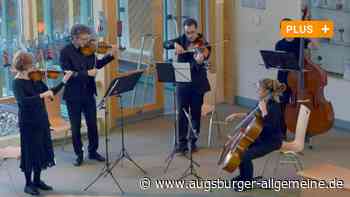 So begeistern Musiker Aichacher Kinder für Streichinstrumente - Augsburger Allgemeine