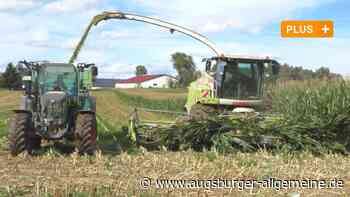Wie ein "Fahrer-Knigge" für mehr Sicherheit zur Erntezeit sorgen soll - Augsburger Allgemeine