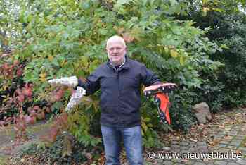 Wie treedt in de voetsporen van Thibaut Courtois en Tessa Wullaert en gooit zijn schoenen over de kabel