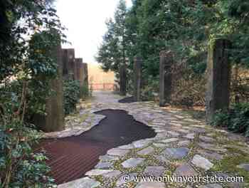 Explore Nature Trails And Wetlands At This Little-Known Washington Forest - Only In Your State