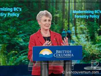 B.C. Forest Practices Board chair says proposed changes to forestry policy 'a start' - Vancouver Sun