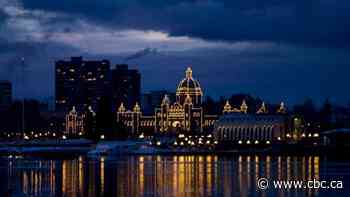 B.C. auditor general highlights $6B budget dispute with government