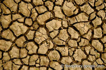 Will Climate Change Force Humans to Relocate?