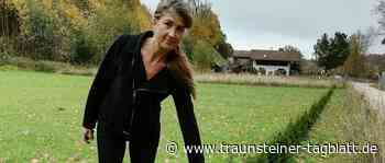 Mich ärgert das maßlos« – Kurioser Pflanzendiebstahl in Traunstein - Traunsteiner Tagblatt