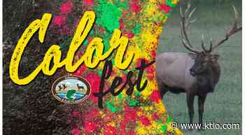 Annual Color Fest Fine Arts Exhibition returns with Jasper autumn tour - ktlo.com