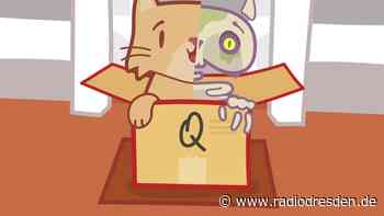 Erfolgreicher Start für App der TU Dresden "Katze Q" - Radio Dresden