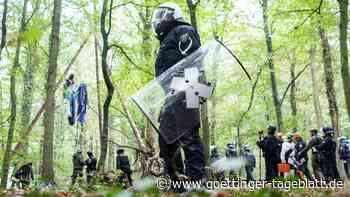 Rechtsstreit um Hambacher Forst: Kerpen zieht Berufung zurück