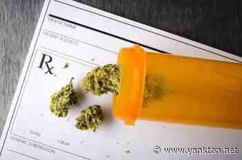 Medical Cannabis: Next Steps | Community - Yankton Daily Press