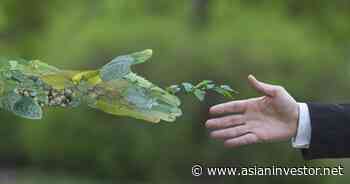 Canada's CDPQ to quit oil next year as part of ambitious net-zero portfolio by 2050 strategy | Asset Owners - AsianInvestor