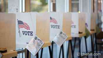 35 percent of voters in new poll say 2020 election should be overturned