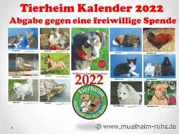 Tierheim Kalender 2022