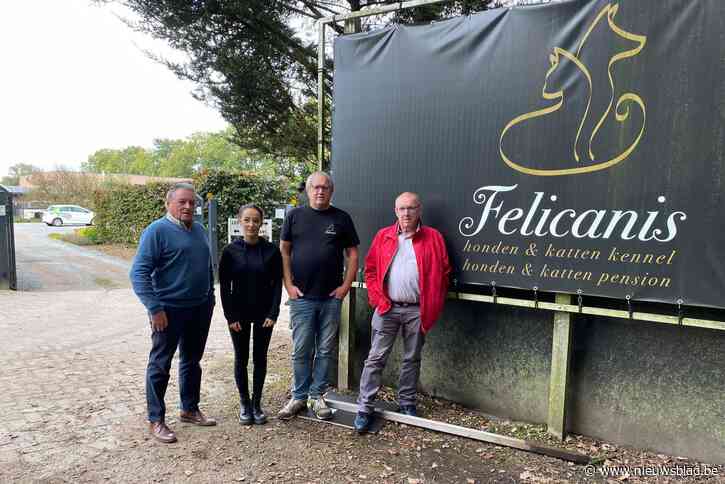 Nieuwe vergunning voor hondenkennel Felicanis ligt onder vuur: “Toch willen we de dieren beter huisvesten”