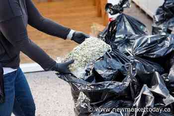 VIDEO: Markham residents among those charged in $37M illegal cannabis bust - NewmarketToday.ca