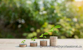 Mackenzie bolsters fund suite with new income solutions - Wealth Professional